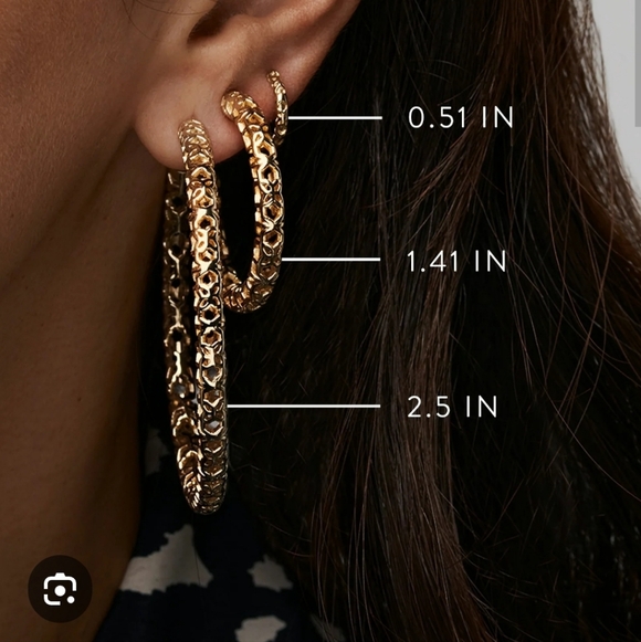 Nwt! Kemdra Scoot Maggie 1.5" Gold Hoops Earrings - Picture 10 of 10